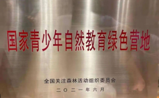 什么颜色隐形最自然，什么颜色隐形最自然好看